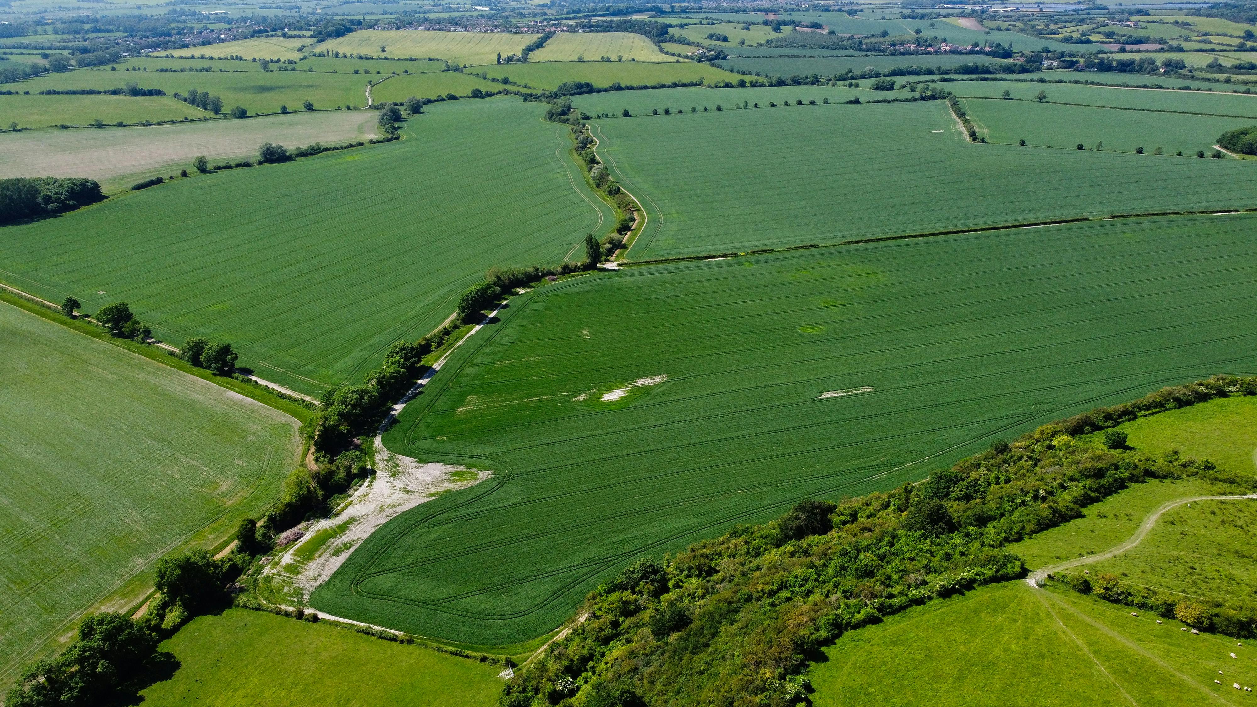Aerial view of green farmland
